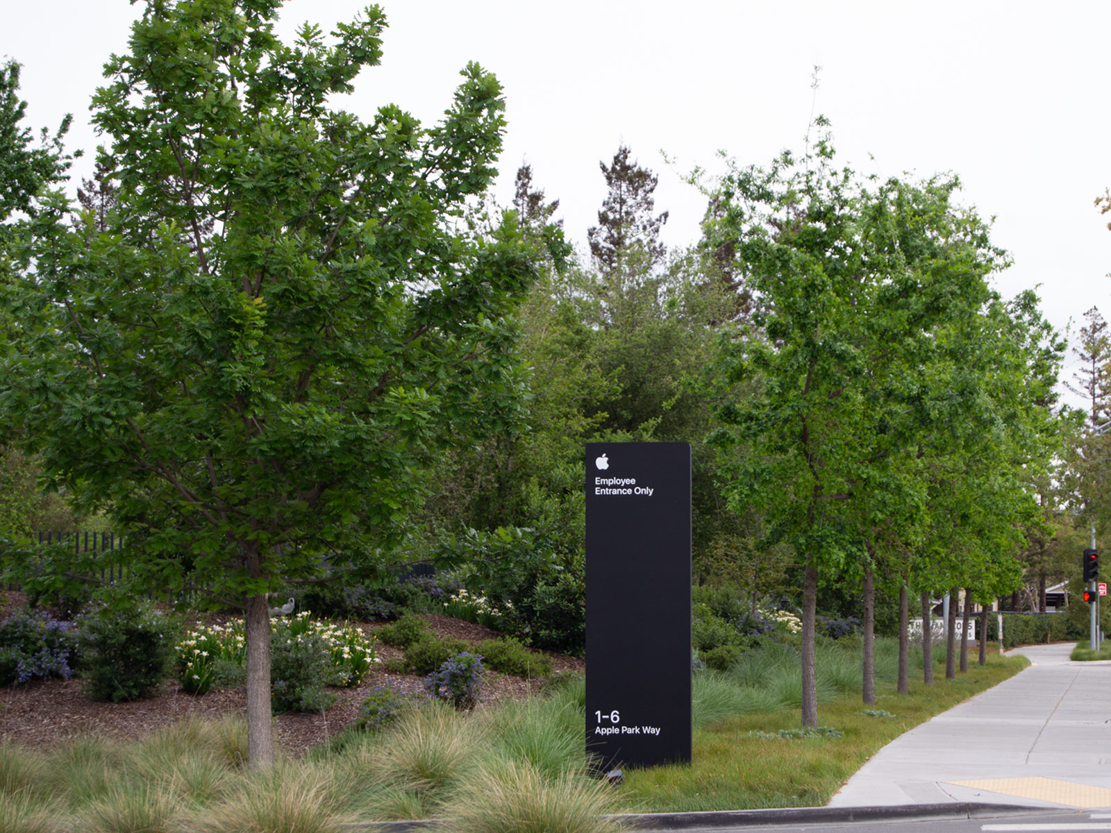 Apple Campus Landscape
