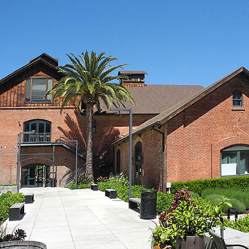 Stanford Old Winery Landscape Project